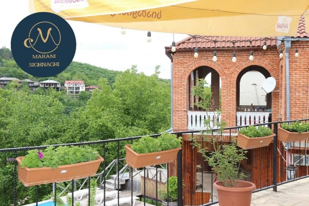 Guest House Marani Sighnaghi Εξωτερικό φωτογραφία