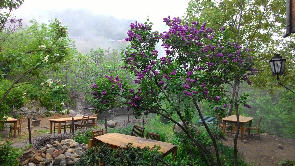 Guest House Marani Sighnaghi Εξωτερικό φωτογραφία